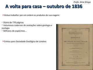 Profa. Aline Braga

A volta para casa – outubro de 1836
Árduo trabalho: por em ordem os produtos de sua viagem:
Diário de 770 páginas
 Volumosos cadernos de anotações sobre geologia e
zoologia
 Milhares de espécimes...


Entrou para Sociedade Geológica de Londres

 
