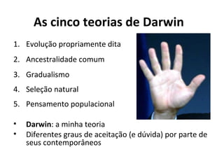 As cinco teorias de Darwin
1. Evolução propriamente dita
2. Ancestralidade comum
3. Gradualismo
4. Seleção natural
5. Pensamento populacional
•
•

Darwin: a minha teoria
Diferentes graus de aceitação (e dúvida) por parte de
seus contemporâneos

 