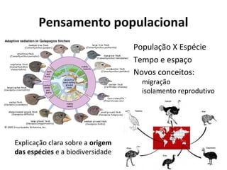Pensamento populacional
População X Espécie
Tempo e espaço
Novos conceitos:

migração
isolamento reprodutivo

Explicação clara sobre a origem
das espécies e a biodiversidade

 