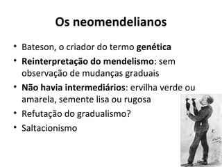 Os neomendelianos
• Bateson, o criador do termo genética
• Reinterpretação do mendelismo: sem
observação de mudanças graduais
• Não havia intermediários: ervilha verde ou
amarela, semente lisa ou rugosa
• Refutação do gradualismo?
• Saltacionismo

 