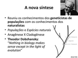 A nova síntese
• Reuniu os conhecimentos dos geneticistas de
populações com os conhecimentos dos
naturalistas
• Populações e Espécies naturais
• Anagênese X Cladogênese
• Theodor Dobzhansky:
“Nothing in biology makes
sense except in the light of
evolution”

 