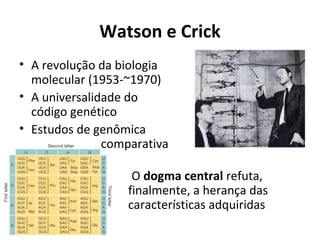 Watson e Crick
• A revolução da biologia
molecular (1953-~1970)
• A universalidade do
código genético
• Estudos de genômica
comparativa
O dogma central refuta,
finalmente, a herança das
características adquiridas

 