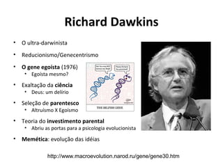 Richard Dawkins
•

O ultra-darwinista

•

Reducionismo/Genecentrismo

•

O gene egoísta (1976)
• Egoísta mesmo?

•

Exaltação da ciência
• Deus: um delírio

•

Seleção de parentesco
• Altruísmo X Egoísmo

•

Teoria do investimento parental

• Abriu as portas para a psicologia evolucionista

•

Memética: evolução das idéias
http://www.macroevolution.narod.ru/gene/gene30.htm

 