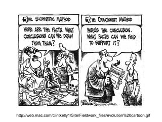 http://web.mac.com/clintkelly1/Site/Fieldwork_files/evolution%20cartoon.gif

 