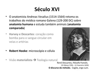 Século XVI
• O anatomista Andreas Vesalius (1514-1564) retoma os
trabalhos do médico romano Galeno (129-200 DC) sobre
anatomia humana e estuda também animais (anatomia
comparada)
• Harvey e Descartes: coração como
bomba para o sangue circular em
veias e artérias
• Robert Hooke: microscópio e célula
• Visão materialista  Teologia natural

René Descartes, filósofo francês.

(31 Março 1596 – 11 Fevereiro 1650)

O discurso do método. Cogito, ergo sum.

 