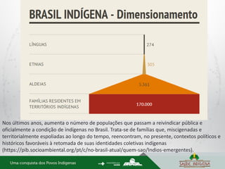 Nos últimos anos, aumenta o número de populações que passam a reivindicar pública e
oficialmente a condição de indígenas no Brasil. Trata-se de famílias que, miscigenadas e
territorialmente espoliadas ao longo do tempo, reencontram, no presente, contextos políticos e
históricos favoráveis à retomada de suas identidades coletivas indígenas
(https://pib.socioambiental.org/pt/c/no-brasil-atual/quem-sao/Indios-emergentes).
 