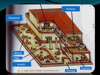 Despensa Gineceu Banho Pátio Andrón Cozinha Entrada 