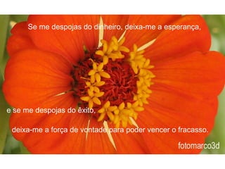 Se me despojas do dinheiro, deixa-me a esperança,

e se me despojas do êxito,
deixa-me a força de vontade para poder vencer o fracasso.

 