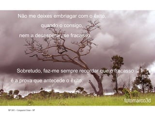 Não me deixes embriagar com o êxito,
quando o consigo,
nem a desesperar, se fracasso.

Sobretudo, faz-me sempre recordar que o fracasso
é a prova que antecede o êxito.

SP 265 - Cerqueira César - SP

 