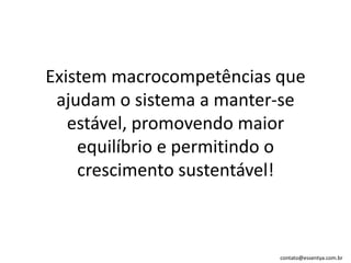 Existem macrocompetências que ajudam o sistema a manter-se estável, promovendo maior equilíbrio e permitindo o crescimento sustentável!