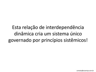 Esta relação de interdependência dinâmica cria um sistema único governado por princípios sistêmicos!