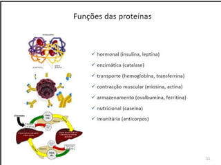 Verão na Técnica - Uma espreitadela na Bioquímica...