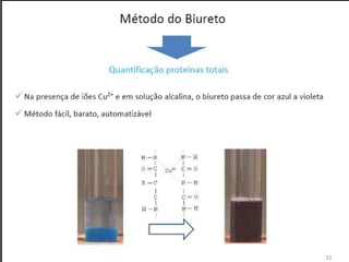 Verão na Técnica - Uma espreitadela na Bioquímica...