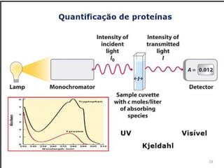 Verão na Técnica - Uma espreitadela na Bioquímica...