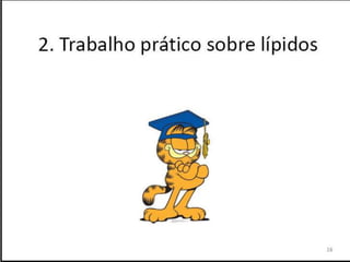 Verão na Técnica - Uma espreitadela na Bioquímica...