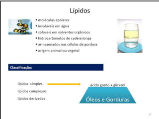 Verão na Técnica - Uma espreitadela na Bioquímica...