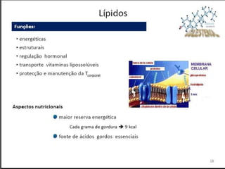 Verão na Técnica - Uma espreitadela na Bioquímica...