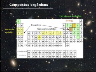 Verão na Técnica - Uma espreitadela na Bioquímica...