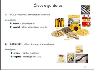 Verão na Técnica - Uma espreitadela na Bioquímica...