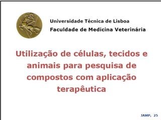 Verão na Técnica - Uma espreitadela na Bioquímica...