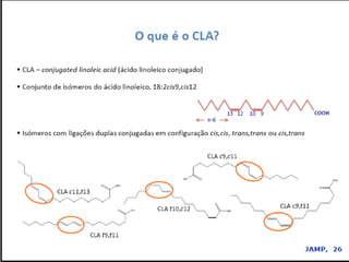 Verão na Técnica - Uma espreitadela na Bioquímica...