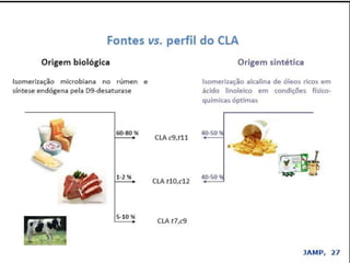 Verão na Técnica - Uma espreitadela na Bioquímica...
