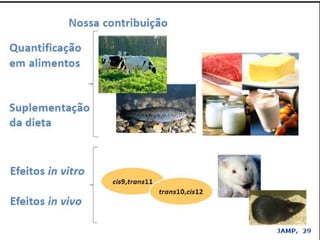 Verão na Técnica - Uma espreitadela na Bioquímica...