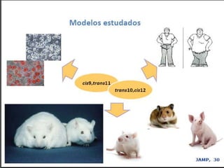 Verão na Técnica - Uma espreitadela na Bioquímica...
