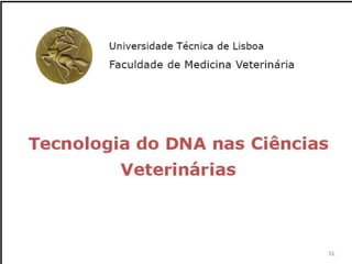 Verão na Técnica - Uma espreitadela na Bioquímica...