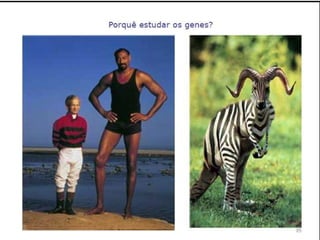 Verão na Técnica - Uma espreitadela na Bioquímica...