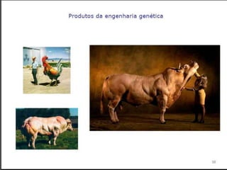 Verão na Técnica - Uma espreitadela na Bioquímica...