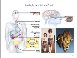 Verão na Técnica - Uma espreitadela na Bioquímica...