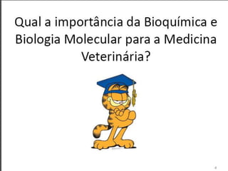 Verão na Técnica - Uma espreitadela na Bioquímica...