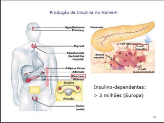 Verão na Técnica - Uma espreitadela na Bioquímica...