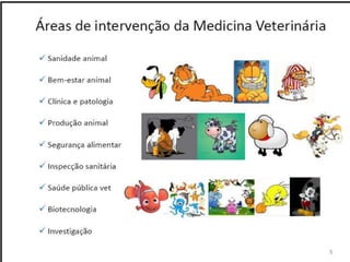 Verão na Técnica - Uma espreitadela na Bioquímica...