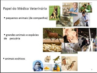 Verão na Técnica - Uma espreitadela na Bioquímica...