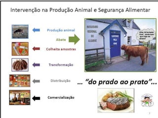 Verão na Técnica - Uma espreitadela na Bioquímica...