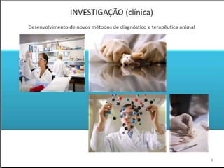 Verão na Técnica - Uma espreitadela na Bioquímica...