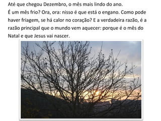 Até que chegou Dezembro, o mês mais lindo do ano. É um mês frio? Ora, ora: nisso é que está o engano. Como pode  haver friagem, se há calor no coração? E a verdadeira razão, é a razão principal que o mundo vem aquecer: porque é o mês do Natal e que Jesus vai nascer. 