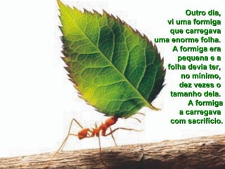 Outro dia,  vi uma formiga  que carregava  uma enorme folha.  A formiga era  pequena e a  folha devia ter,  no mínimo,  dez vezes o  tamanho dela.  A formiga a carregava  com sacrifício. 