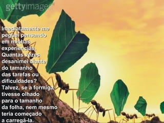 Imediatamente me  peguei pensando  em minhas  experiências.  Quantas vezes  desanimei diante  do tamanho  das tarefas ou  dificuldades? Talvez, se a formiga  tivesse olhado  para o tamanho  da folha, nem mesmo  teria começado  a carregá-la. 