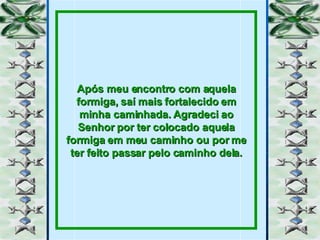 Após meu encontro com aquela formiga, saí mais fortalecido em minha caminhada. Agradeci ao Senhor por ter colocado aquela formiga em meu caminho ou por me ter feito passar pelo caminho dela. 