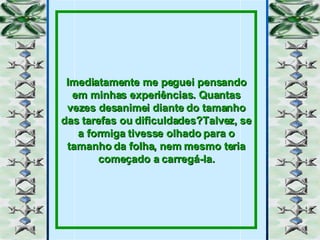 Imediatamente me peguei pensando em minhas experiências. Quantas vezes desanimei diante do tamanho das tarefas ou dificuldades?Talvez, se a formiga tivesse olhado para o tamanho da folha, nem mesmo teria começado a carregá-la. 