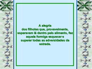 A alegria dos filhotes que, provavelmente, esperavam lá dentro pelo alimento, fez aquela formiga esquecer e superar todas as adversidades da estrada. 