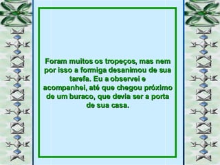 Foram muitos os tropeços, mas nem por isso a formiga desanimou de sua tarefa. Eu a observei e acompanhei, até que chegou próximo de um buraco, que devia ser a porta de sua casa. 