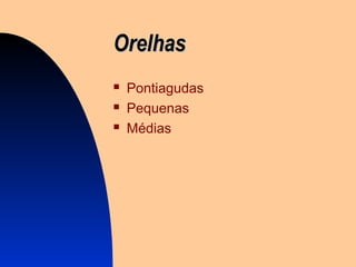 OrelhasOrelhas
 Pontiagudas
 Pequenas
 Médias
 