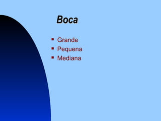 BocaBoca
 Grande
 Pequena
 Mediana
 