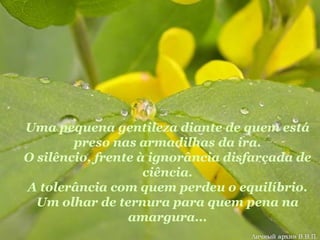 Uma pequena gentileza diante de quem está preso nas armadilhas da ira. O silêncio, frente à ignorância disfarçada de ciência. A tolerância com quem perdeu o equilíbrio. Um olhar de ternura para quem pena na amargura... 