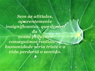 Sem as atitudes, aparentemente insignificantes, que dentro da  nossa pequenez conseguimos realizar, a humanidade seria triste e a vida perderia o sentido. 
