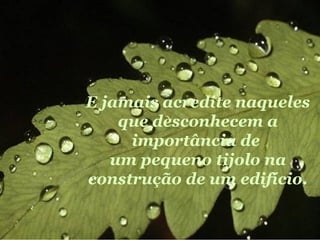 E jamais acredite naqueles que desconhecem a importância de  um pequeno tijolo na construção de um edifício. 